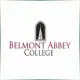 Belmont Abbey College - Computer School Ranking