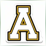 Appalachian State University