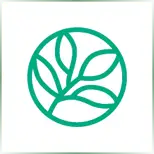 Evergreen Valley College